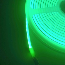 Cata 12 Volt Neon LED