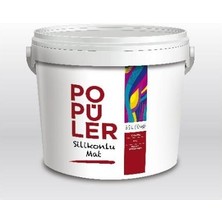Polisan Popüler Silikonlu Mat Iç Cephe Boyası 20 kg