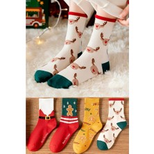 Bgk Yılbaşı Çorap 4'lü Karışık Renk Yüksek Lifli Pamuklu Yumuşak Dokulu Kadın Çorap