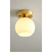 Rsylight Rustik Dekoratif Metal Modern Eskitme Opal Beyaz Camlı Tekli  Avize