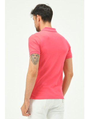 Msw Erkek Kısa Kollu Regular Fit Polo Yaka T-Shirt