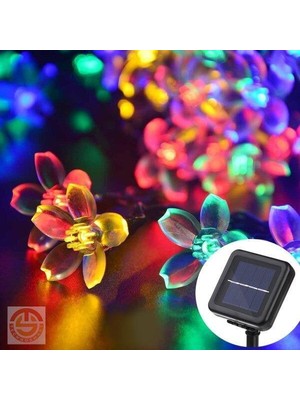 Peanelife Solar 30 Ledli Çiçekli Rgb Bahçe Aydınlatma Dekorasyon Güneş Enerjili