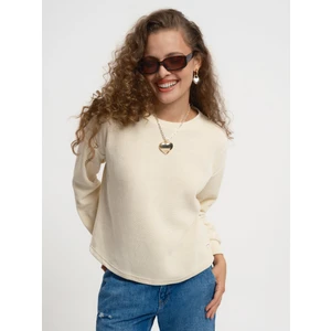 Regular Fit Kadın Sweatshirt