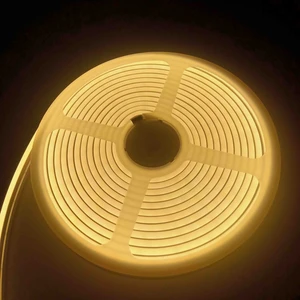 12 Volt Neon LED