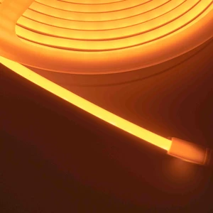12 Volt Neon LED