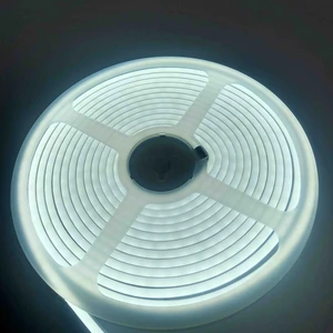 12 Volt Neon LED