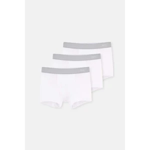 Beyaz D4210 Mıcromodal Boxer 3'lü