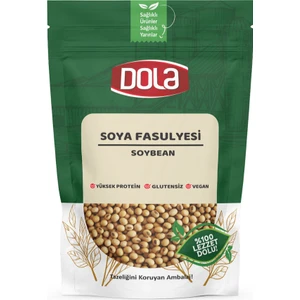 Soya Fasulyesi 400G Glutensiz