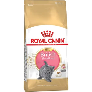 British Shorthair Kitten Kedi Kuru Maması 2kg