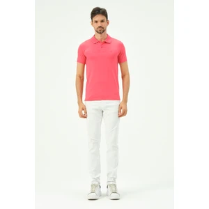 Erkek Kısa Kollu Regular Fit Polo Yaka T-Shirt