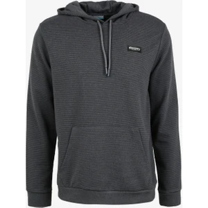 Discovery Expedition Antrasit Erkek Kapüşonlu Sweatshirt D3WM-SWT27