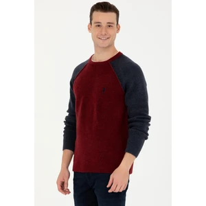 U.S. Polo Assn. Erkek Bordo Triko Kazak 50271049-VR014
