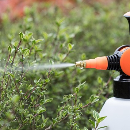 Bitkiler Ve Bahçeler Için Breeze Water Mister Ve Sprey Şişesi - Mr. Mister - Ayarlanabilir Basınç Nozullu 1,5 Litre Püskürtücü (Yurt Dışından) modelleri