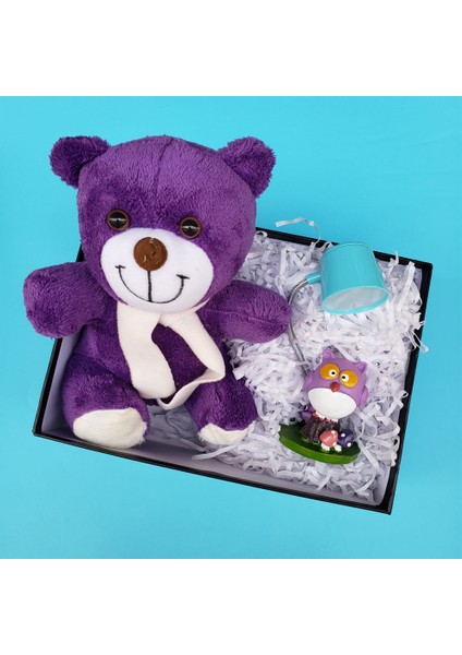 Kutulu Peluş Ayıcık ve Baykuş Biblo