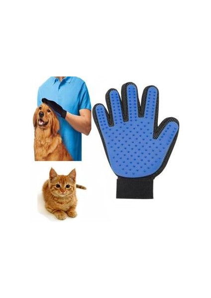 Tüy Toplama Eldiveni Pedi Paws 1 Adet Pire Tarağı Hediye