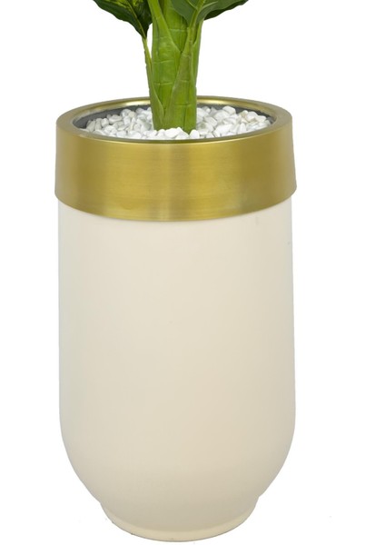 Difenbahya 170CM Metal Krem Gold Darbuka Saksıda