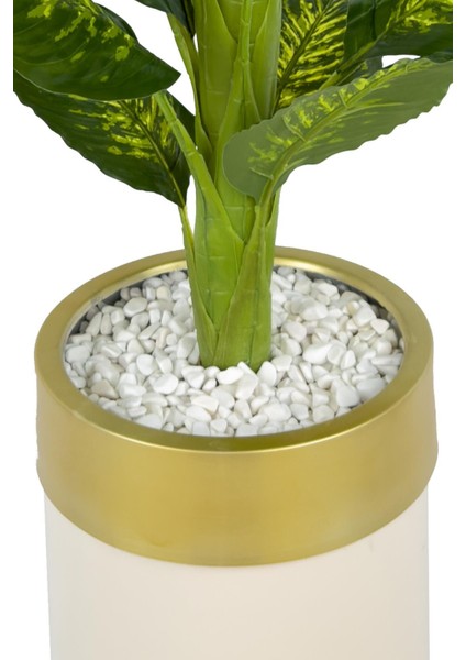 Difenbahya 170CM Metal Krem Gold Darbuka Saksıda