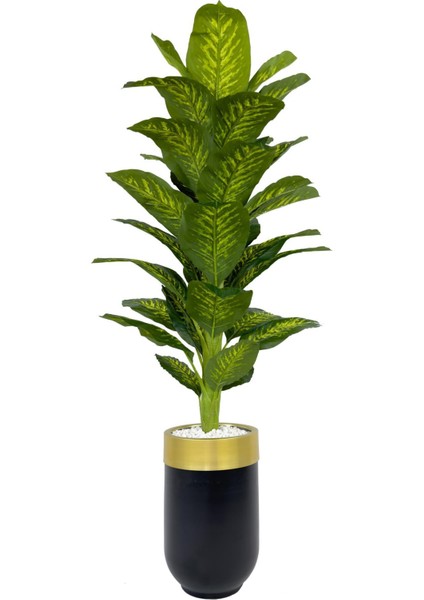 Difenbahya 170CM Metal Siyah Gold Darbuka Saksıda