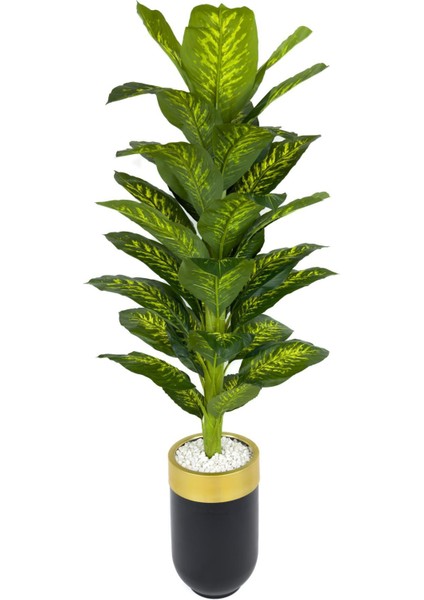 Difenbahya 170CM Metal Siyah Gold Darbuka Saksıda fiyatları