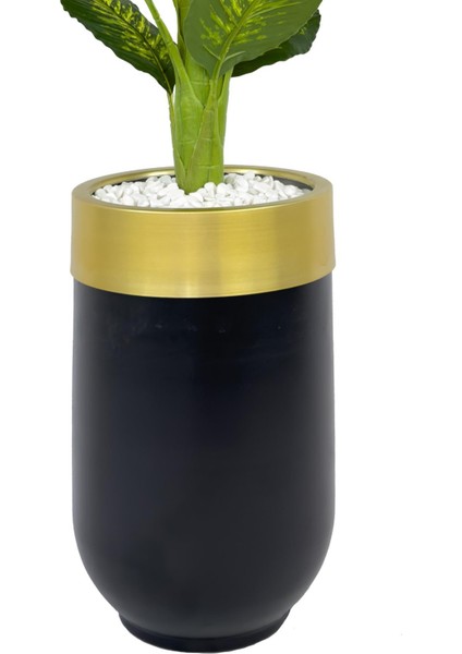 Difenbahya 170CM Metal Siyah Gold Darbuka Saksıda fırsatları
