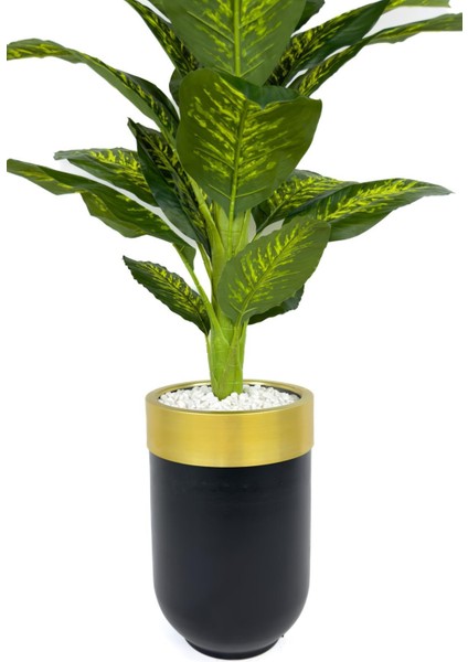 Difenbahya 170CM Metal Siyah Gold Darbuka Saksıda indirimleri