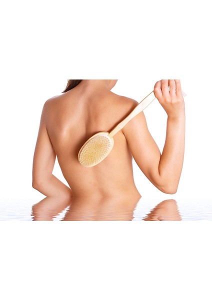 Vücut Fırçası Ve Masaj Fırçası - Doğal Kıllara Ve Sapa Sahip Masaj Için Kuru Fırça (Yurt Dışından) fırsatları