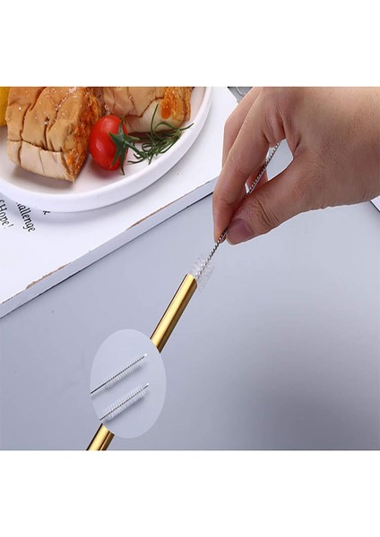 Straw Fırça Temizleyici 10" Naylon Tüp Temizleyici Şişe Fırça Temizleme Seti 10'Lu (Yurt Dışından)