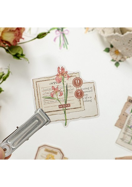 Esinti 4 Paket Vintage Scrapbooking Kendin Yap Çıkartmalar Paketi, Doğa Bitki Retro Dekor Çıkartmalar, Scrapbooking Için (Yurt Dışından) modelleri