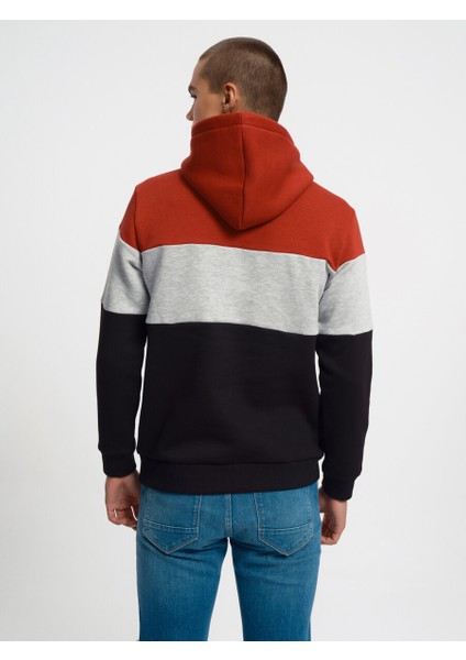 Regular Fit Erkek Sweatshirt