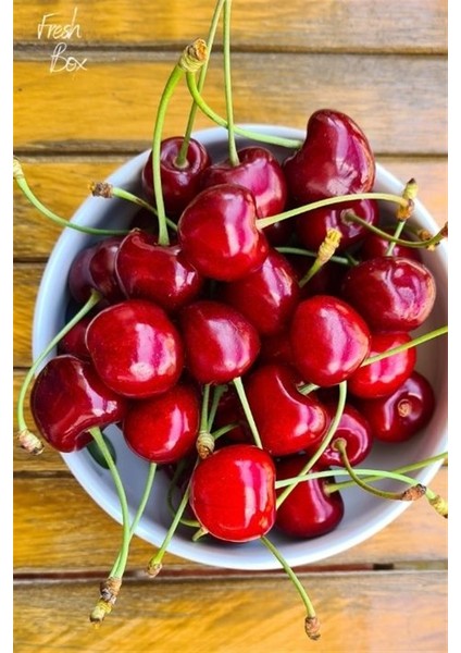 ( 6 Adet ) Aşılı Napolyon Kiraz Fidanı 3 Yaş modelleri