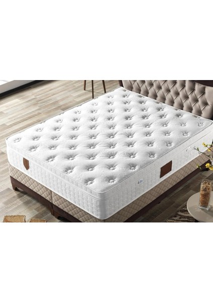 Starline Plus Fermuarli Pedli̇ Ultrafull Ortopedi̇k 30 cm Yatak