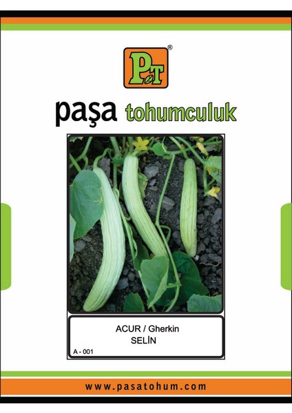 Selin Acur Tohumu 5 Gr. 100 Paketli Kutu A5*100