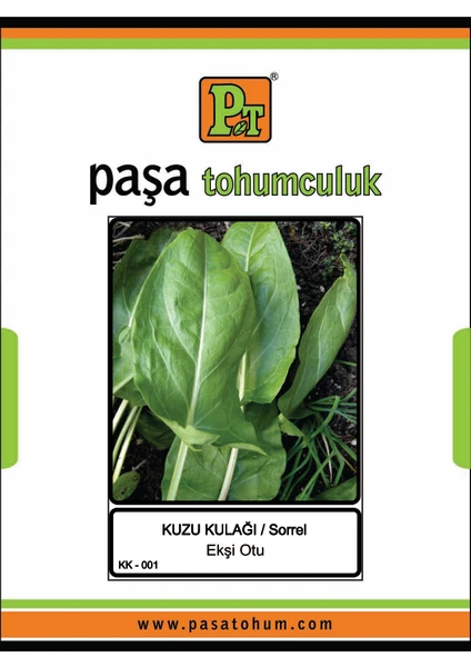 Paşa Tohumculuk Ekşi Otu Kuzukulağı Tohumu 25 Gr.