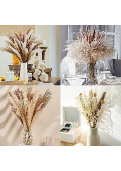 Esinti Doğal Kurutulmuş Pampas Otu, Kurutulmuş Çiçek Dekorasyonu, Kabarık Bitkiler, Kurutulmuş Çiçek (Yurt Dışından) fırsatları