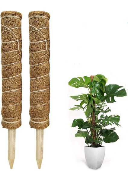 Moss Stick, 2'Li Paket 40 Cm Monstera Trellis, Uzatılabilir Doğal Bitki Çubuğu (Yurt Dışından)