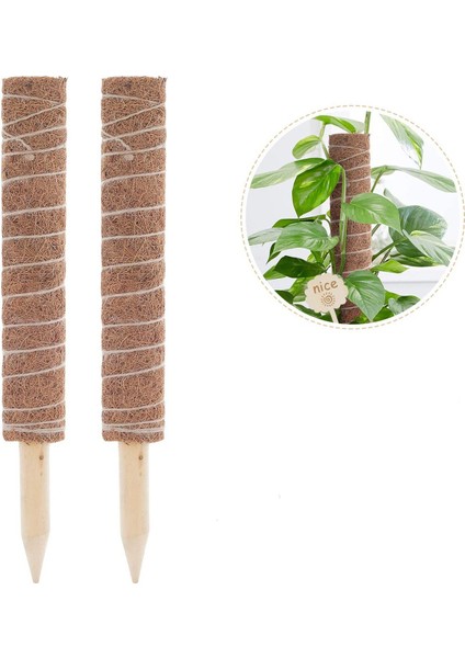 Moss Stick, 2'Li Paket 40 Cm Monstera Trellis, Uzatılabilir Doğal Bitki Çubuğu (Yurt Dışından)
