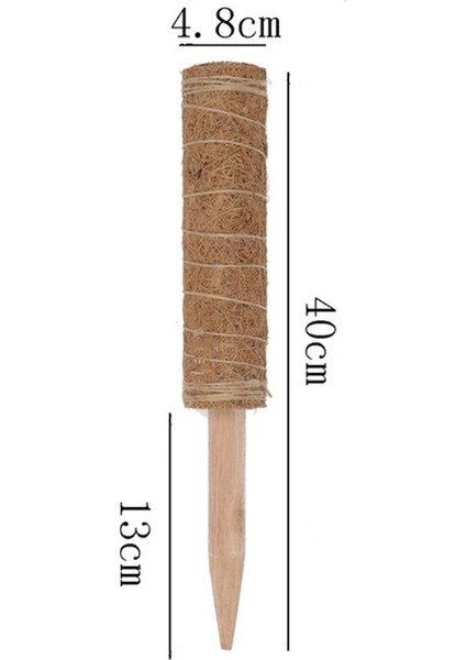 Moss Stick, 2'Li Paket 40 Cm Monstera Trellis, Uzatılabilir Doğal Bitki Çubuğu (Yurt Dışından)