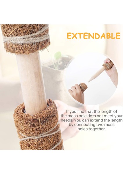 Moss Stick, 2'Li Paket 40 Cm Monstera Trellis, Uzatılabilir Doğal Bitki Çubuğu (Yurt Dışından)