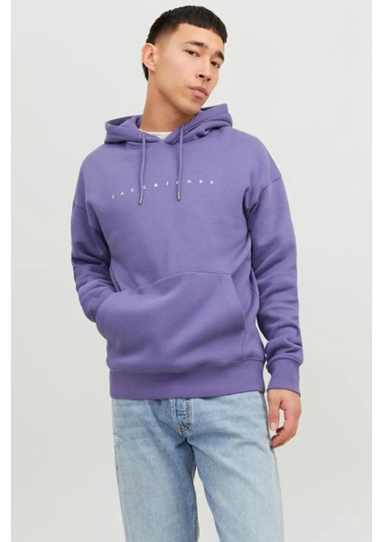 Erkek Sweatshirt Jjestar Mor/purple 13W42ESTAR