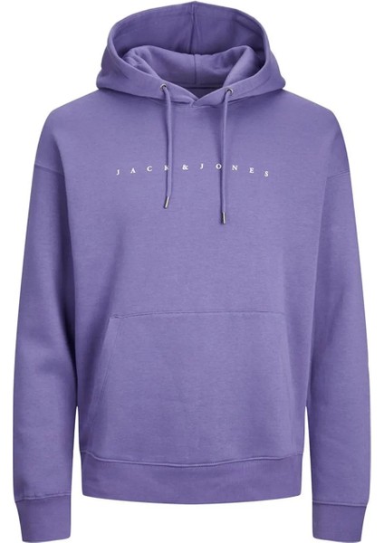 Erkek Sweatshirt Jjestar Mor/purple 13W42ESTAR