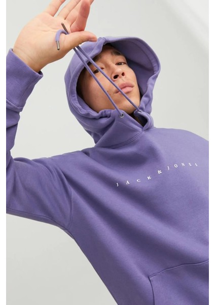 Erkek Sweatshirt Jjestar Mor/purple 13W42ESTAR