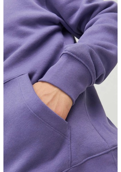 Erkek Sweatshirt Jjestar Mor/purple 13W42ESTAR