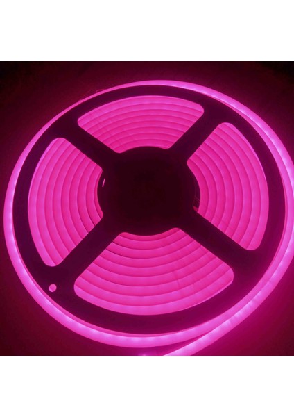 12 Volt Neon LED