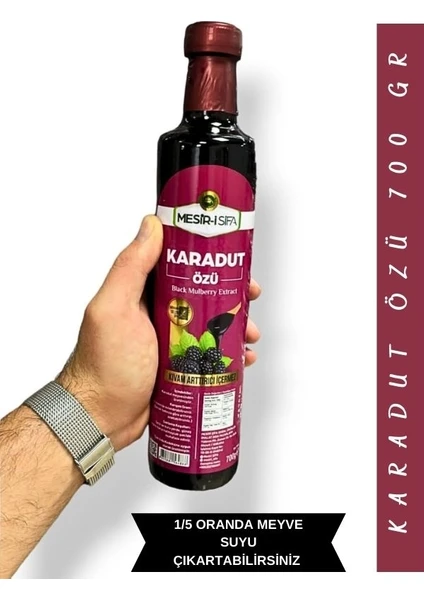 Karadut Özü 700 gr - Black Mulberry Extract