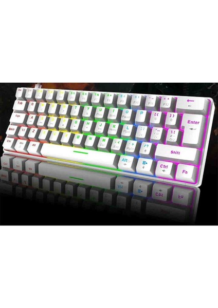 Mekanık 19 Rgb Usb-C Kablolu Mını Oyun Klavyesı
