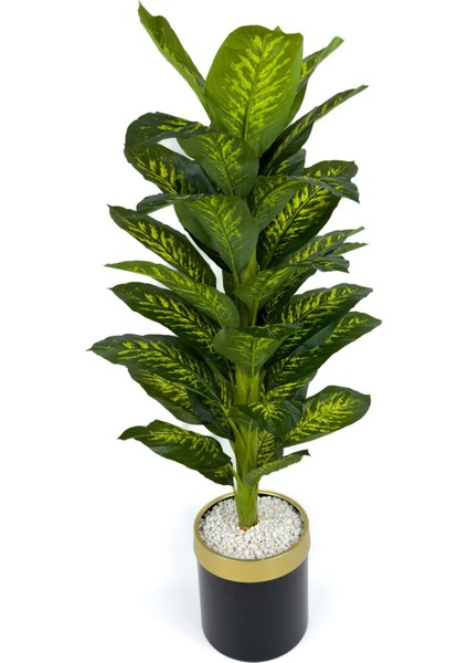 Difenbahya Ağacı 160CM Siyah Gold Metal Saksıda fırsatları