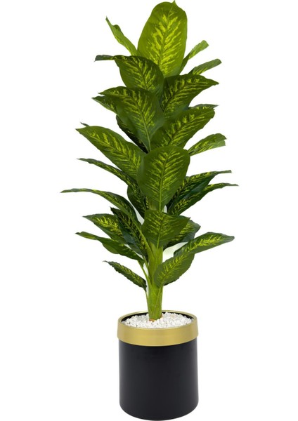 Difenbahya Ağacı 160CM Siyah Gold Metal Saksıda indirimleri