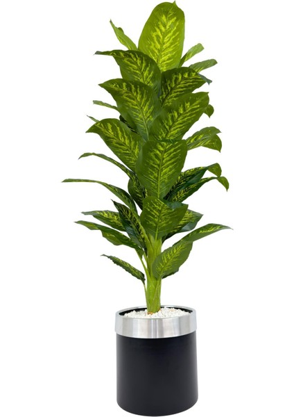 Difenbahya Ağacı 160CM Siyah Gümüş Metal Saksıda