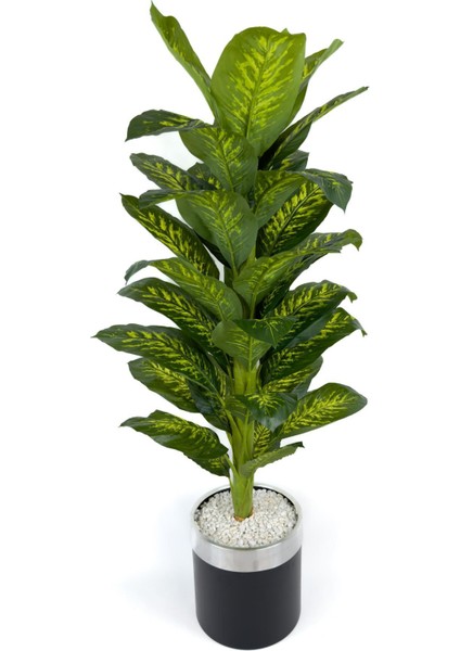 Difenbahya Ağacı 160CM Siyah Gümüş Metal Saksıda fırsatları