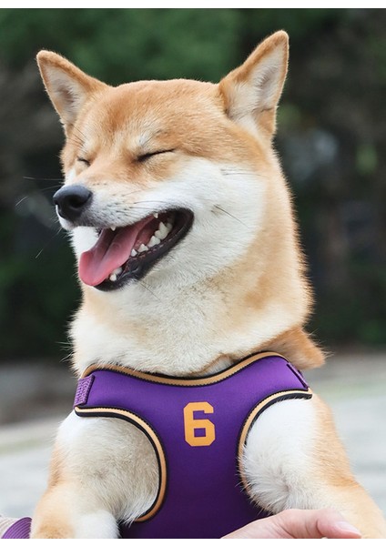 Kırılmayı Önlemek Için Küçük ve Orta Boy Köpekler Için Köpek Göğüs Kemeri - Mor (Yurt Dışından) modelleri